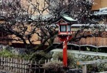 Kyoto Afternoon Tour On Foot